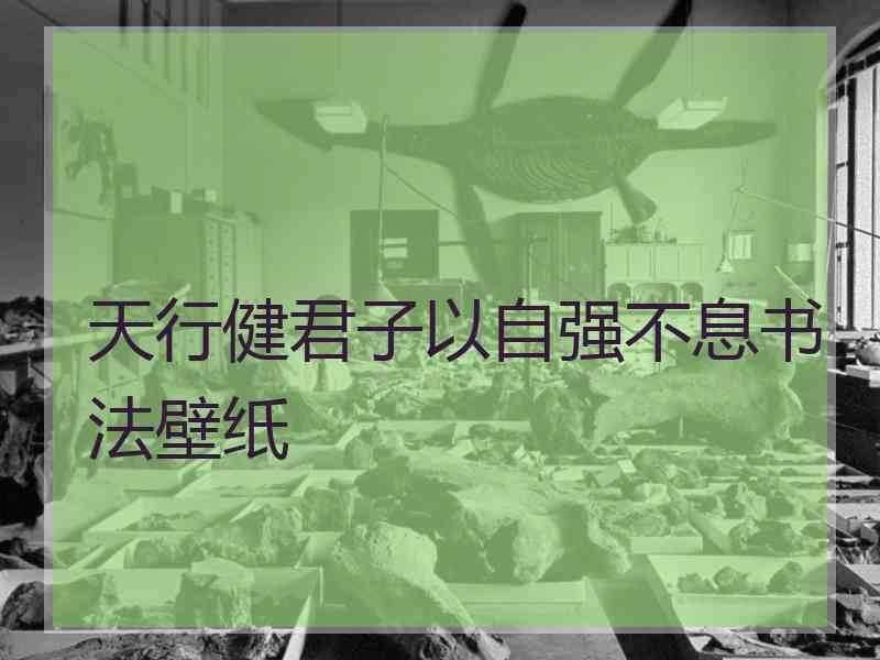 天行健君子以自强不息书法壁纸