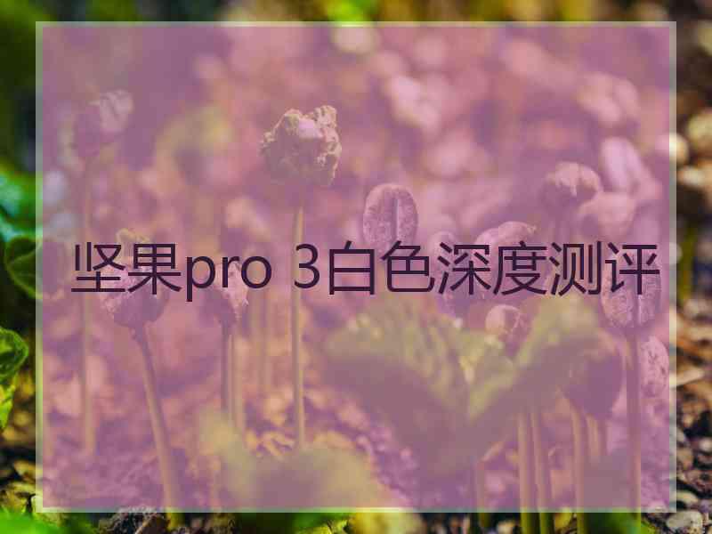 坚果pro 3白色深度测评