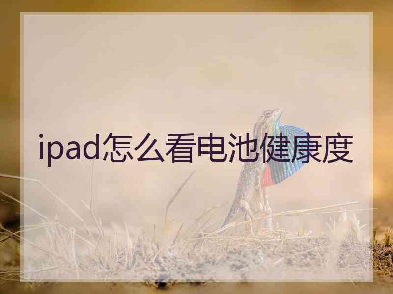 ipad怎么看电池健康度