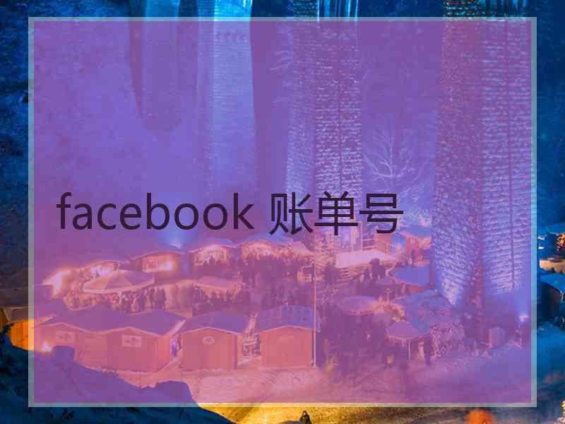 facebook 账单号