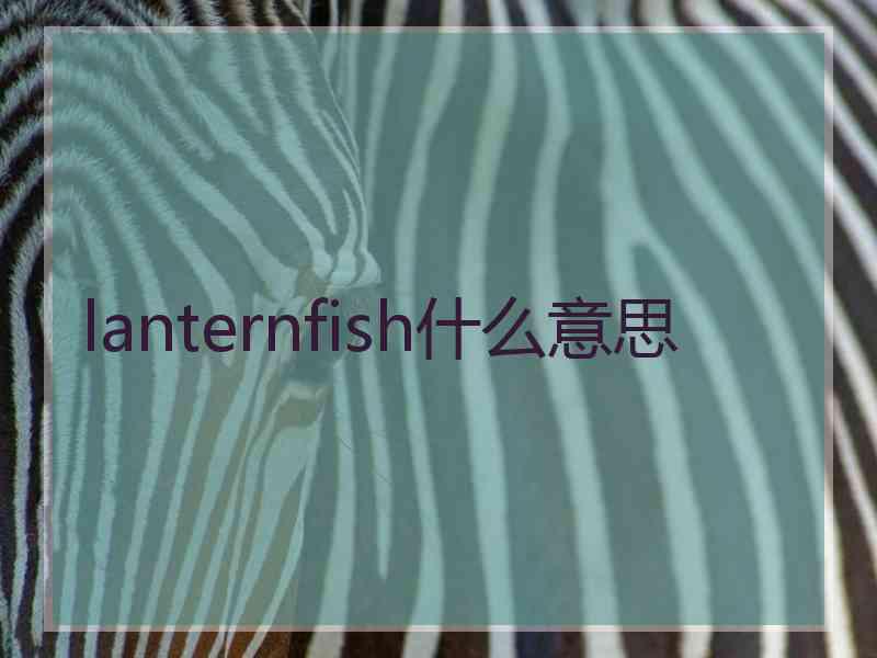 lanternfish什么意思