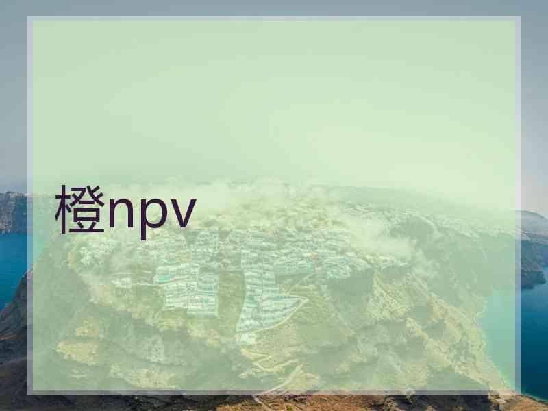 橙npv