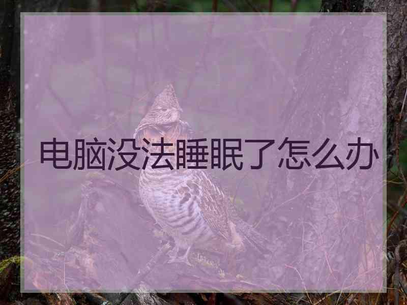 电脑没法睡眠了怎么办