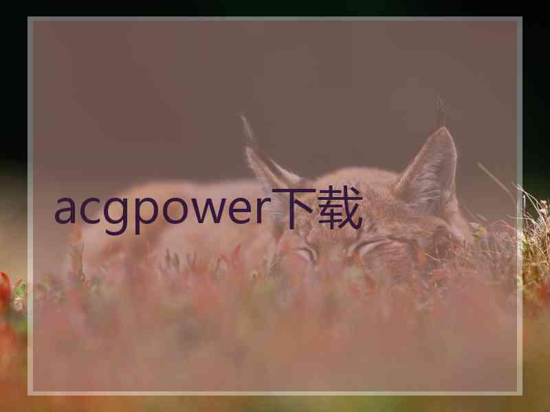 acgpower下载