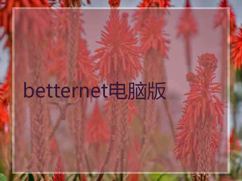 betternet电脑版