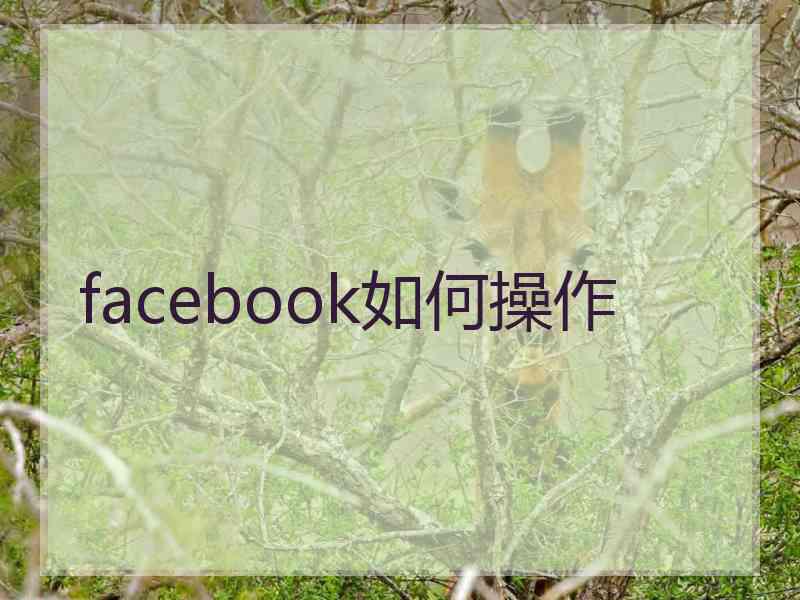 facebook如何操作