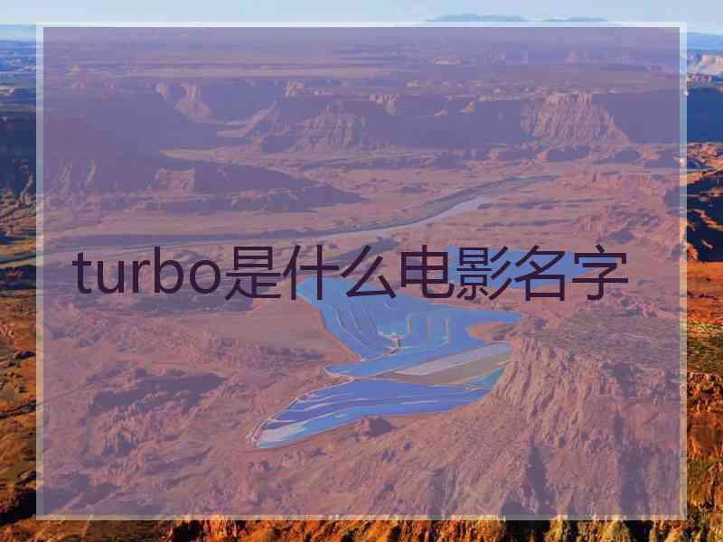 turbo是什么电影名字