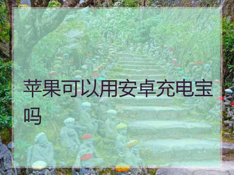 苹果可以用安卓充电宝吗