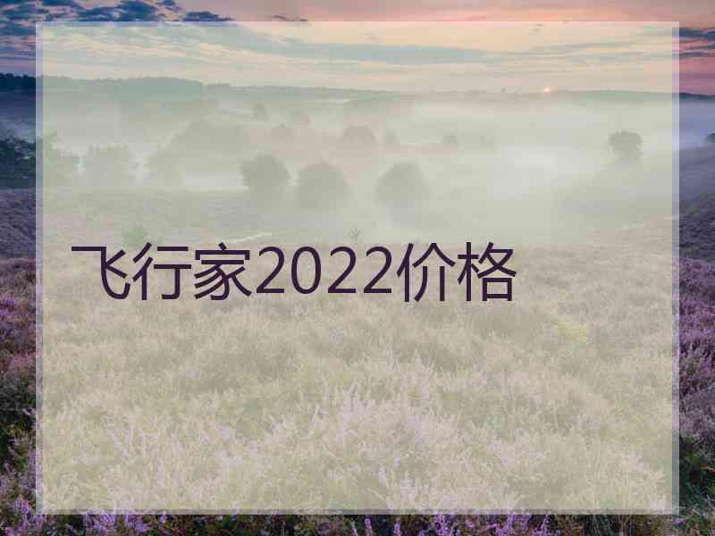 飞行家2022价格