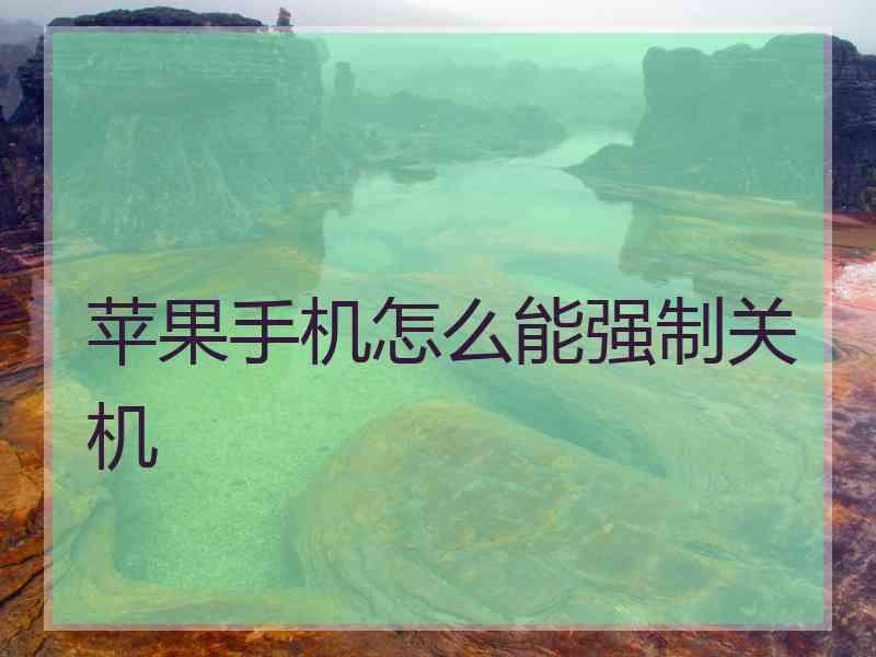 苹果手机怎么能强制关机