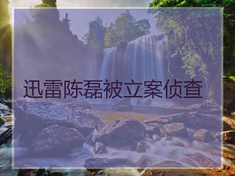 迅雷陈磊被立案侦查