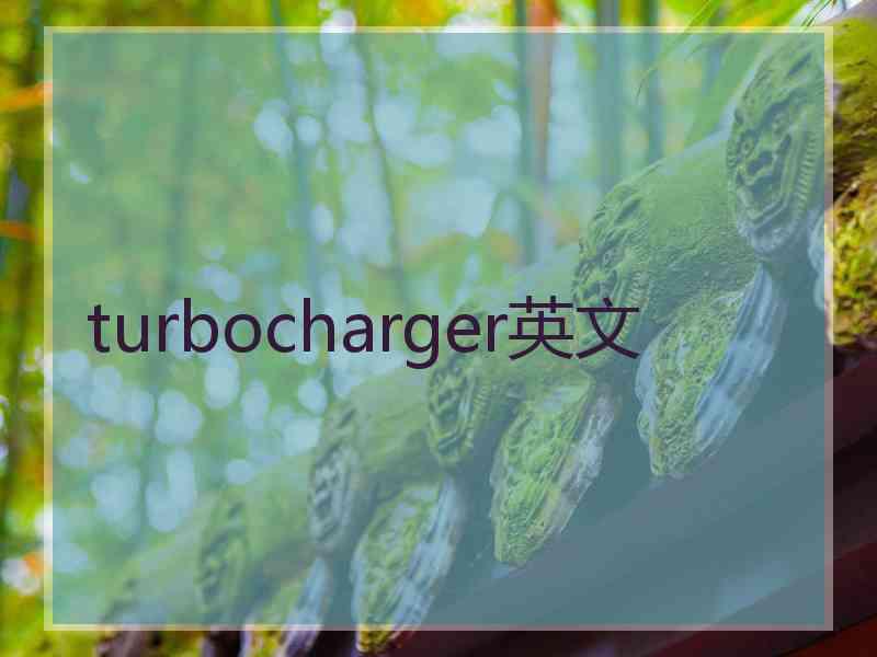 turbocharger英文