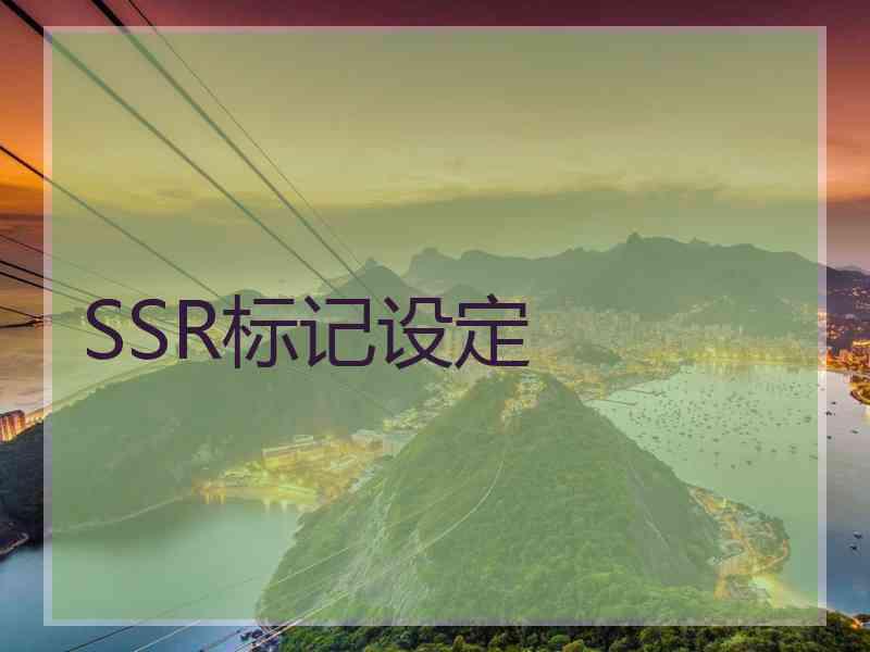 SSR标记设定