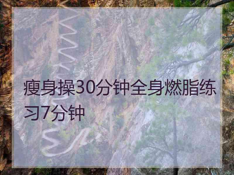 瘦身操30分钟全身燃脂练习7分钟