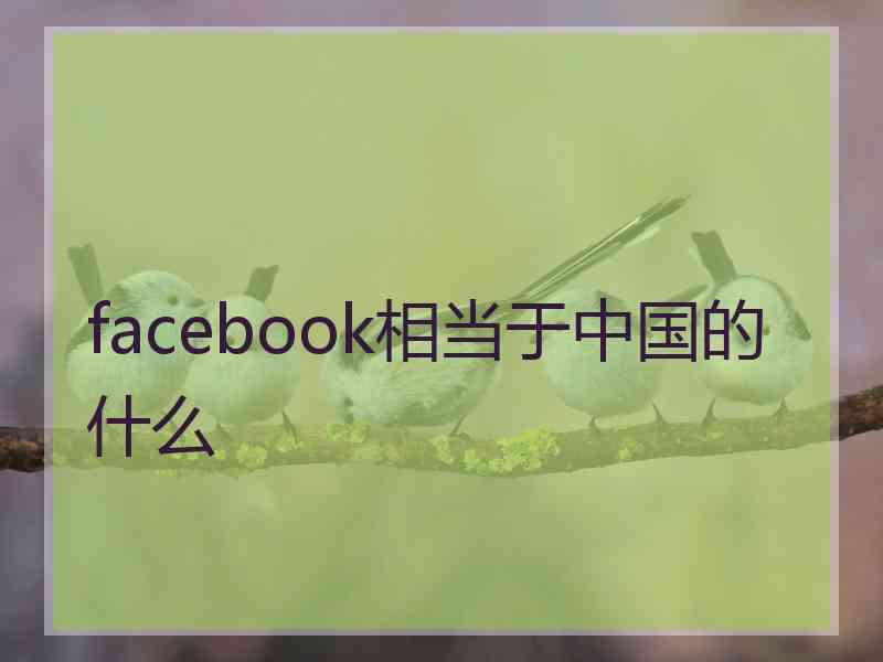 facebook相当于中国的什么