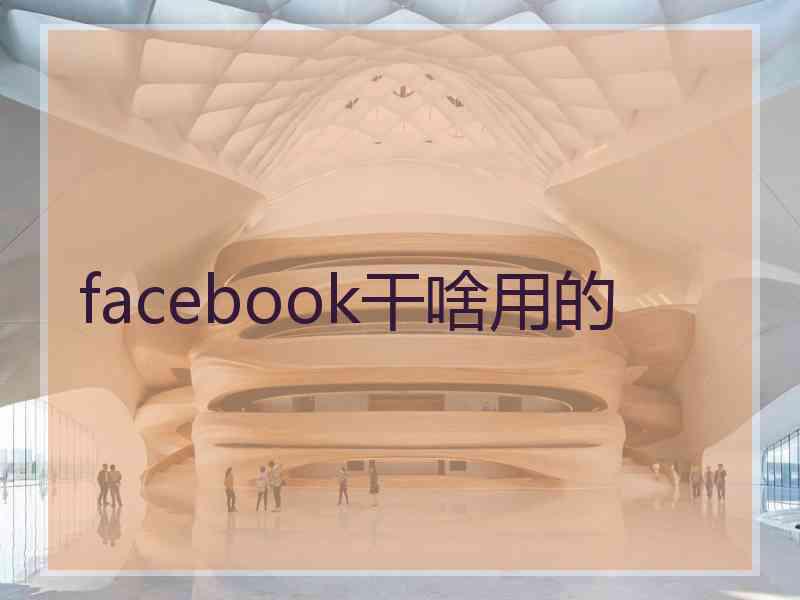 facebook干啥用的