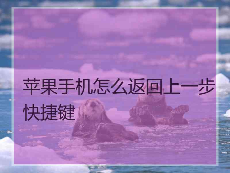 苹果手机怎么返回上一步快捷键