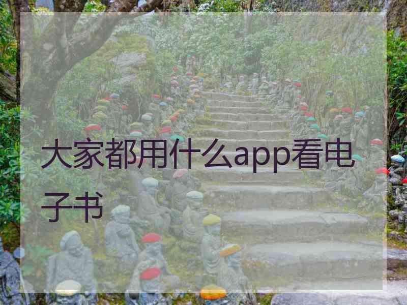 大家都用什么app看电子书