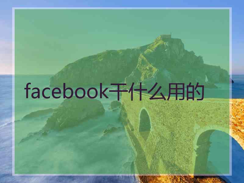 facebook干什么用的