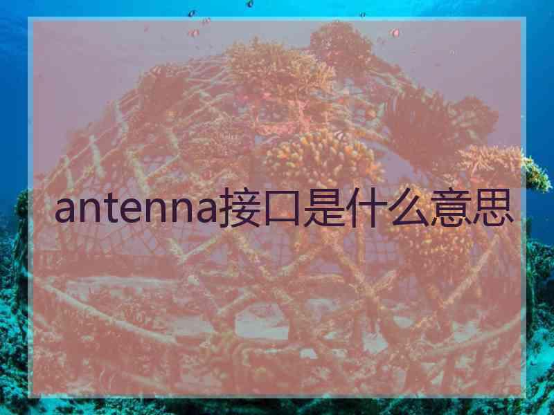 antenna接口是什么意思