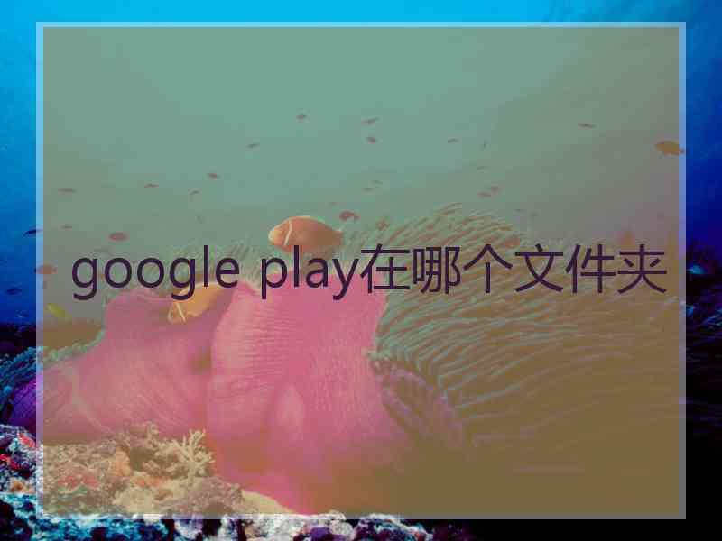 google play在哪个文件夹