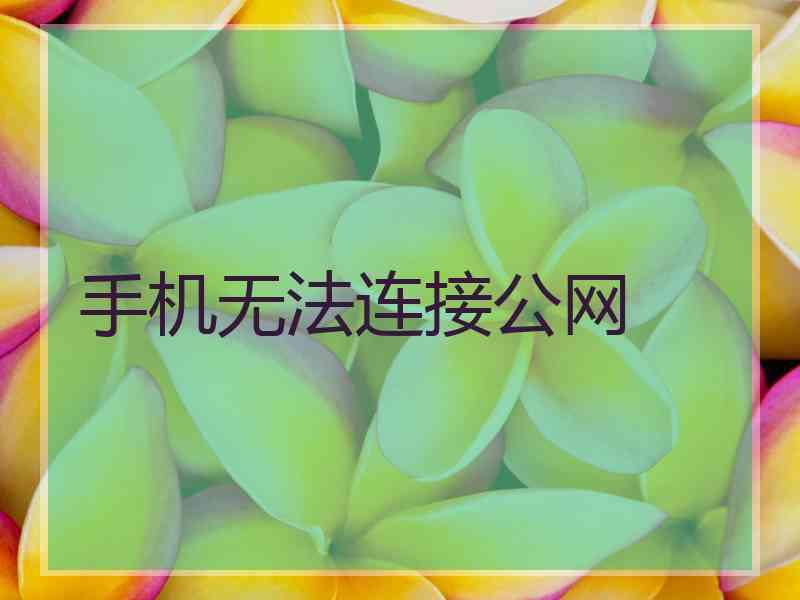 手机无法连接公网