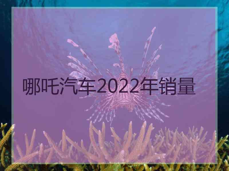 哪吒汽车2022年销量