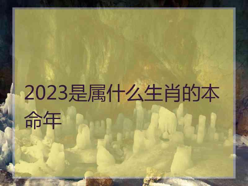 2023是属什么生肖的本命年