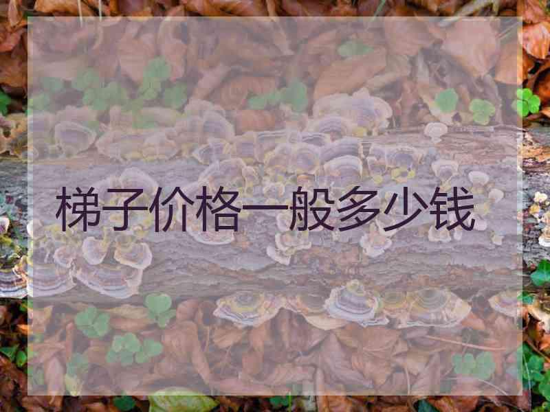 梯子价格一般多少钱