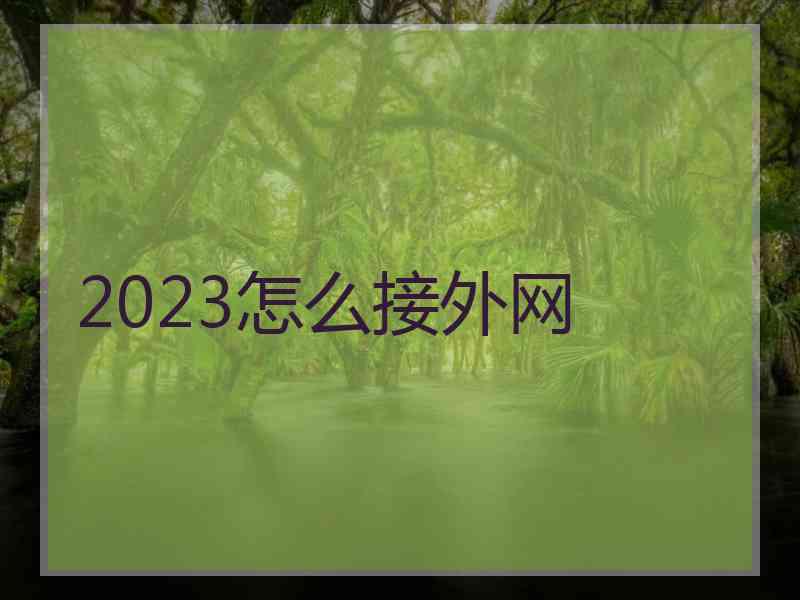 2023怎么接外网