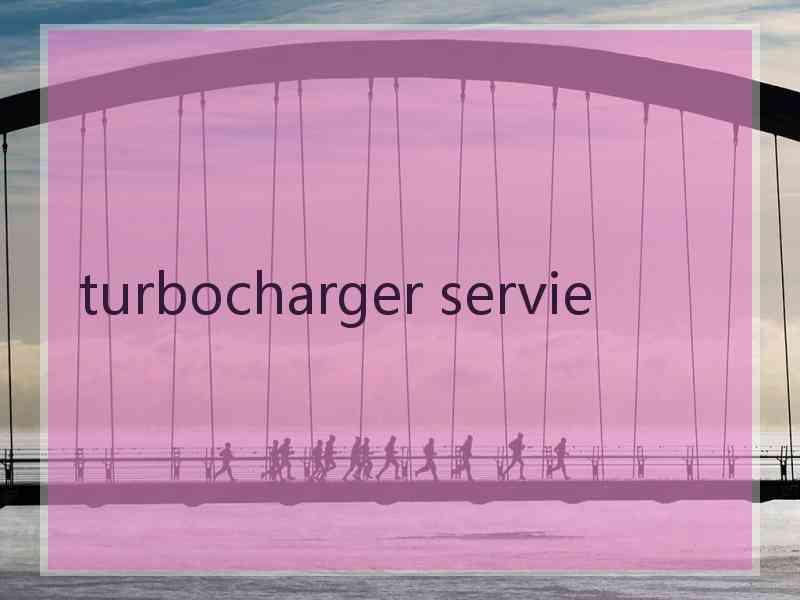 turbocharger servie