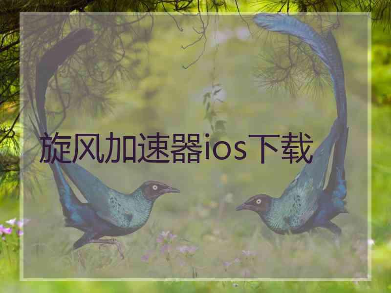 旋风加速器ios下载