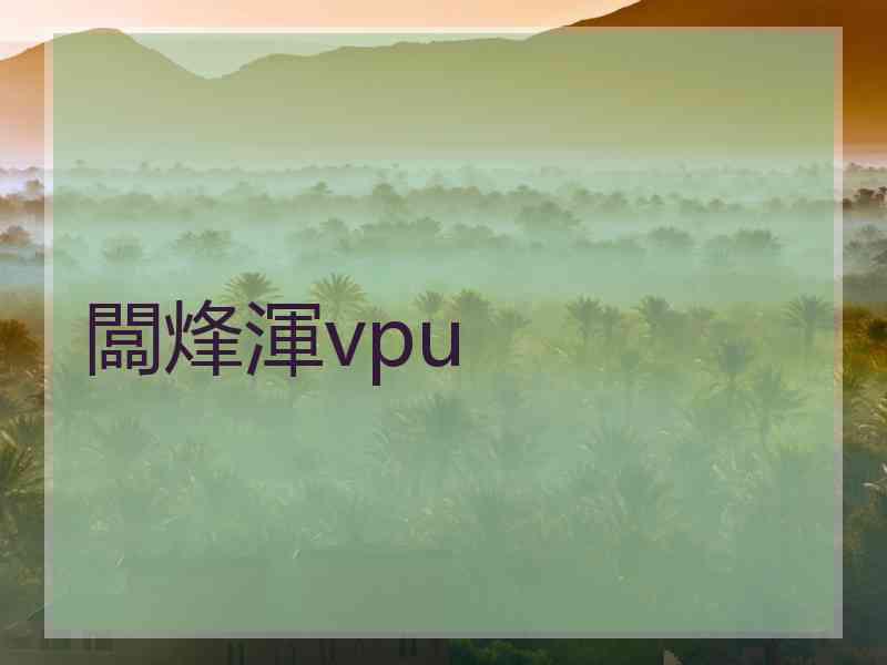 闆烽渾vpu