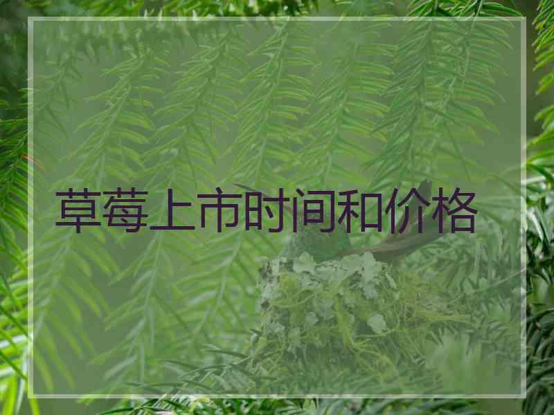 草莓上市时间和价格