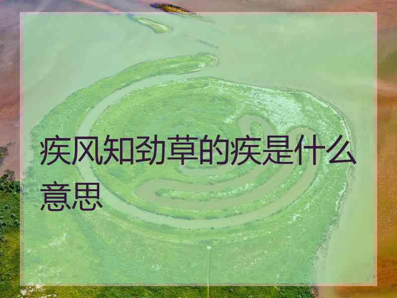 疾风知劲草的疾是什么意思