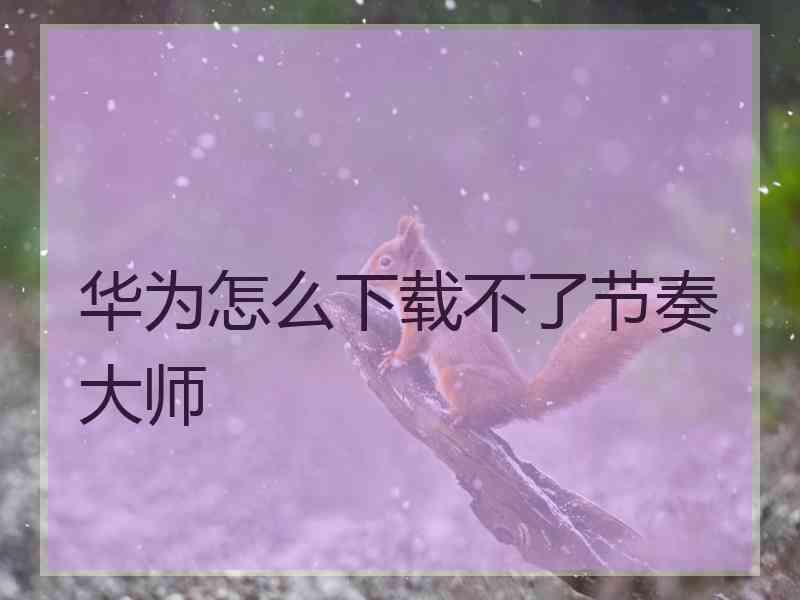 华为怎么下载不了节奏大师