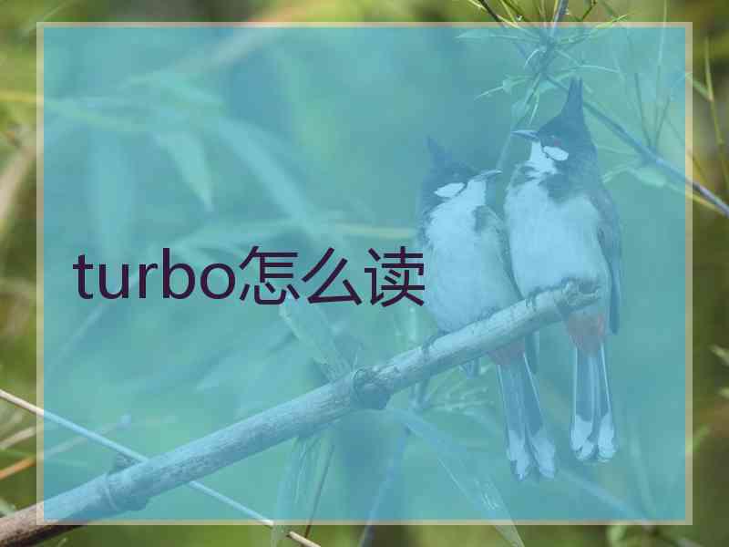 turbo怎么读