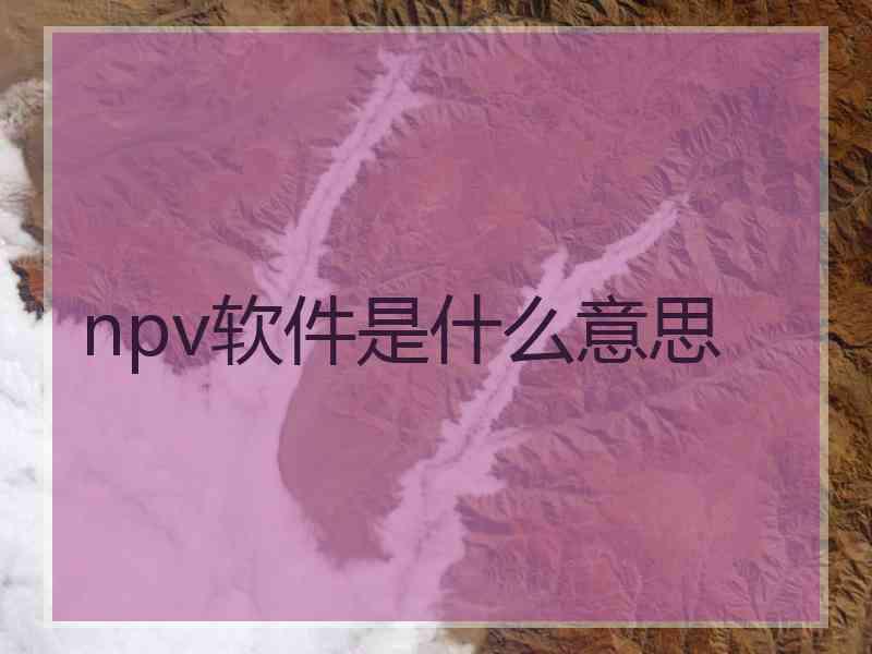 npv软件是什么意思