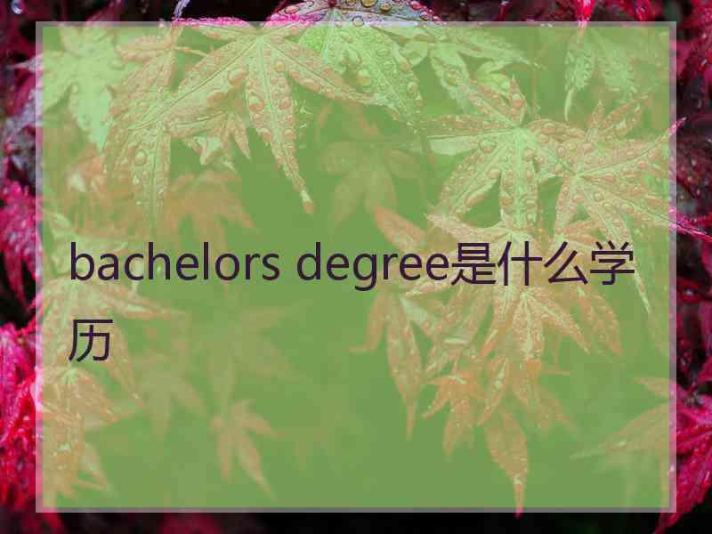 bachelors degree是什么学历