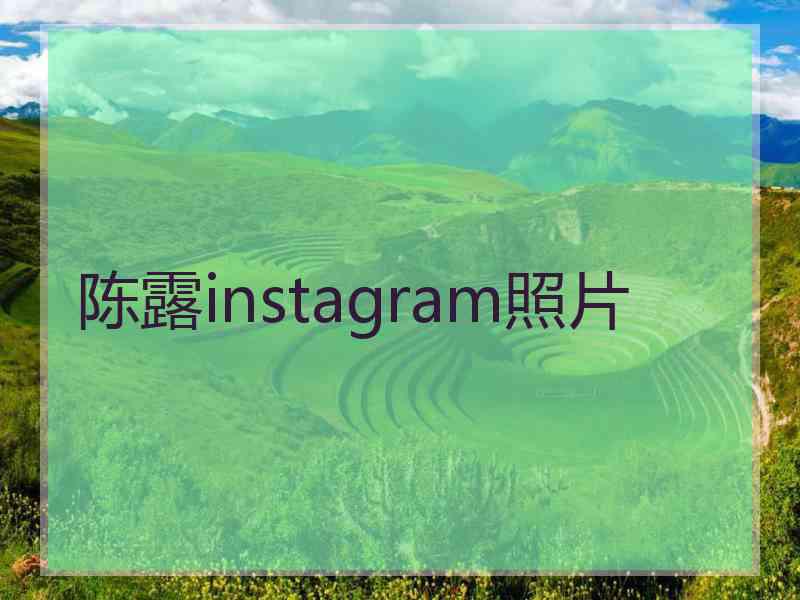 陈露instagram照片