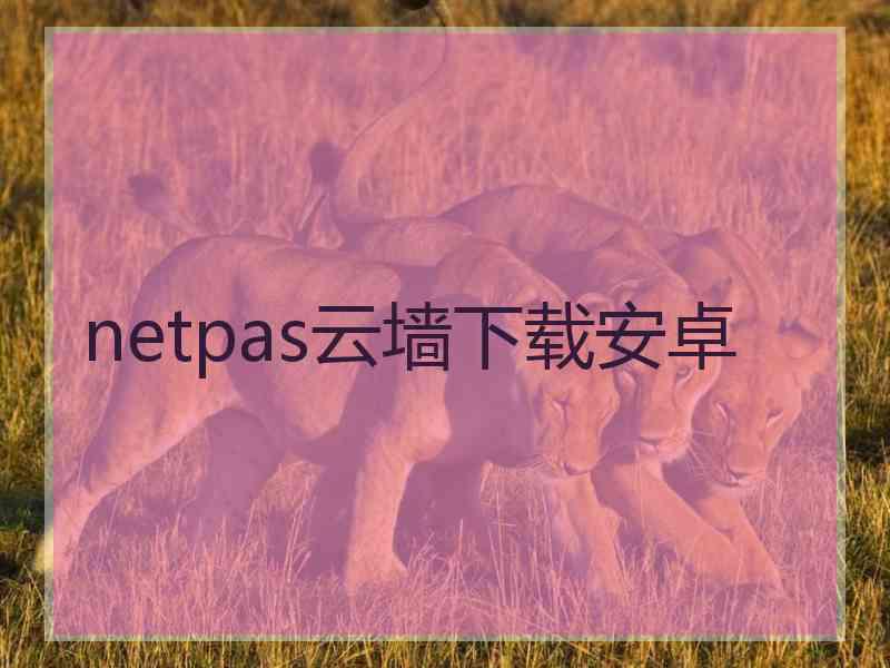 netpas云墙下载安卓