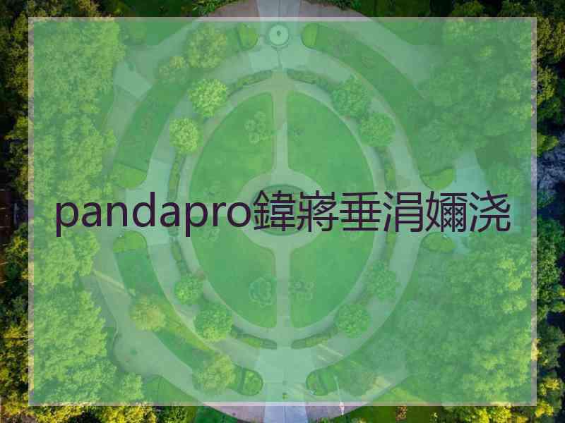 pandapro鍏嶈垂涓嬭浇