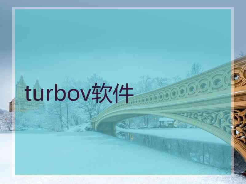 turbov软件