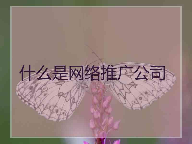 什么是网络推广公司