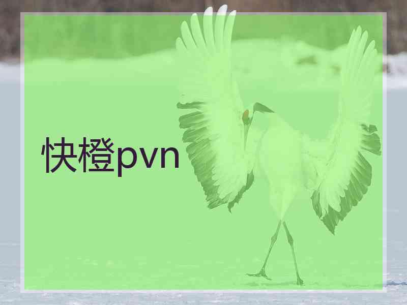 快橙pvn