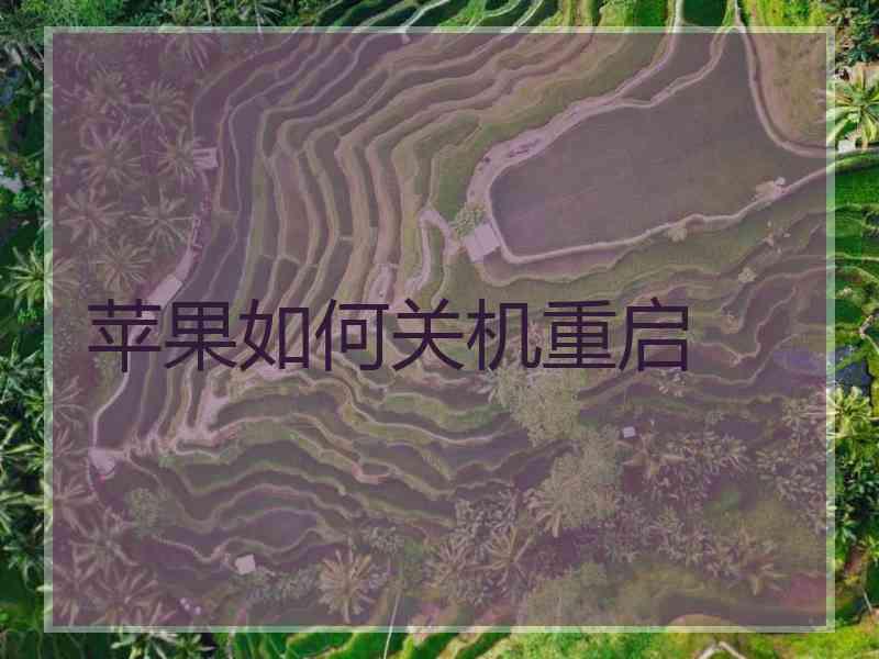 苹果如何关机重启