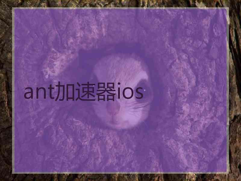 ant加速器ios