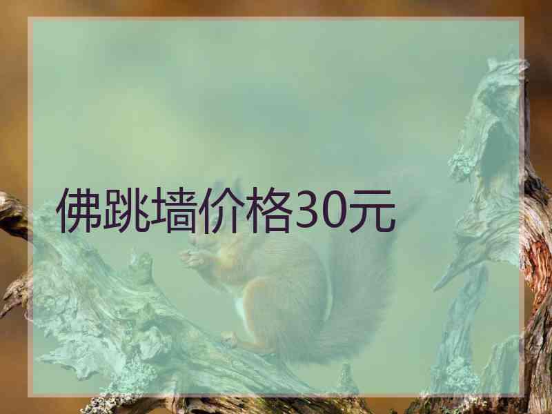 佛跳墙价格30元