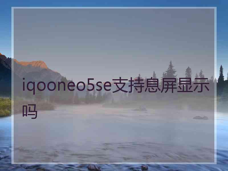 iqooneo5se支持息屏显示吗