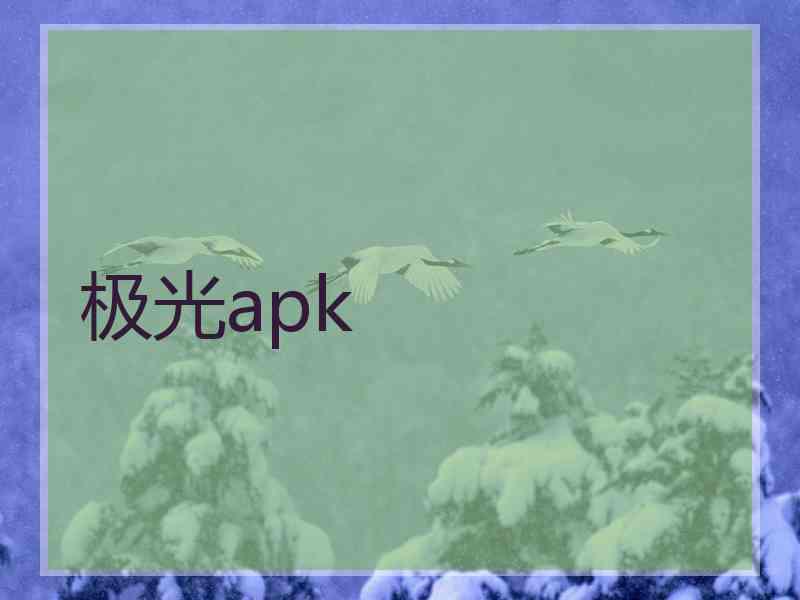 极光apk